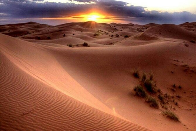 Dubai Morning Desert Safari: Camel Ride & Sandboarding! - Sandboarding is the hands-on highlight
