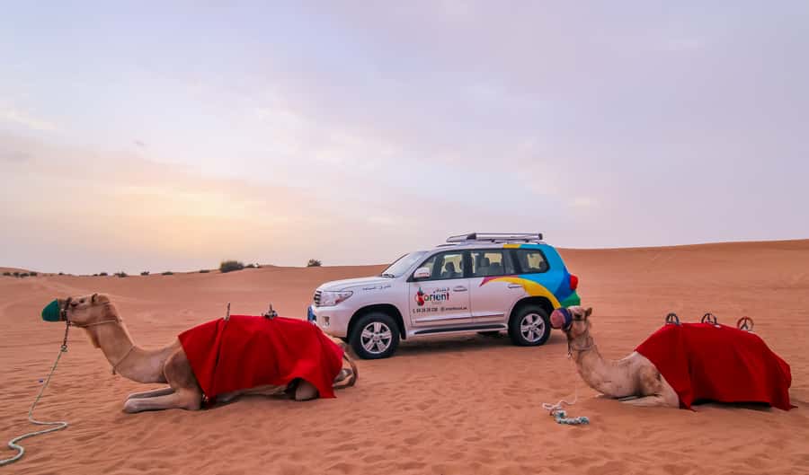 Dubai: Morning Desert Safari with Camel Ride & Sandboarding - What the $50 price really covers