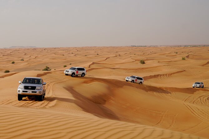 Dubai Morning Desert Safari with Quad Biking & More Activities - Morning or evening: choosing the right departure