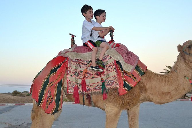Dubai: Morning Desert Safari - The Morning Pickup Matters More Than It Sounds