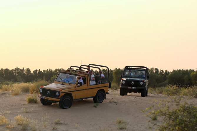 Dubai: Morning Heritage Safari by Vintage G Class & Al Marmoom Oasis - The 50-minute ride from Dubai to Al Marmoom