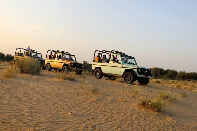 Dubai: Morning Heritage Safari by Vintage G Class & Al Marmoom Oasis - The camel caravan lasts only 10 to 12 minutes