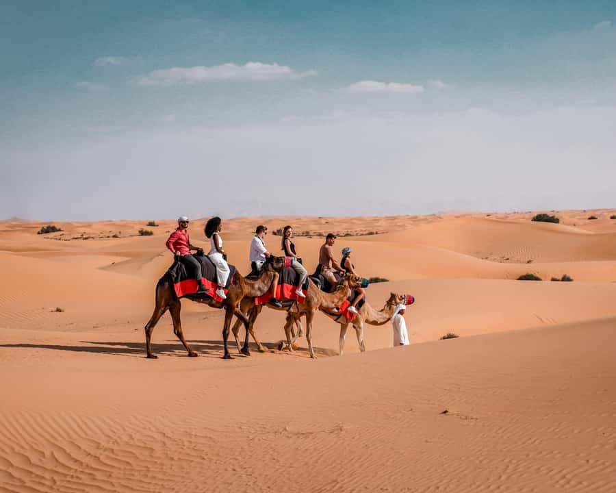 Dubai: Premium Desert Safari, Camel Ride, BBQ & Sandboarding - Who will enjoy this safari most