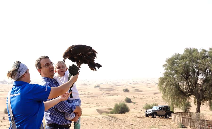 Dubai: Private Falconry Safari - Why this Dubai falconry safari feels different