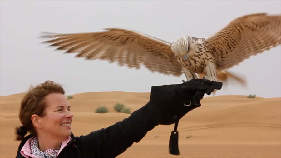 Dubai: Private Falconry Safari - Who will get the most from this morning