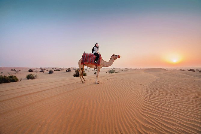 Dubai Private Morning Desert Safari: Camel Ride & Sandboarding - Dune bashing in the 4x4 Land Cruiser