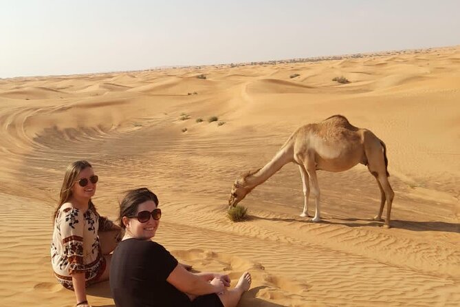 Dubai Private Morning Desert Safari: Camel Ride & Sandboarding - What the $159 group price really covers