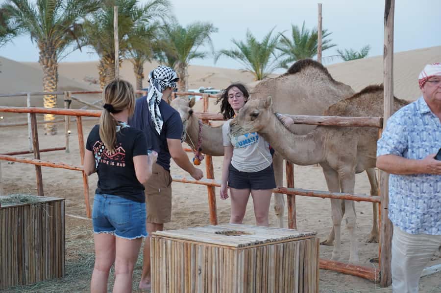 Dubai: Red Dune Desert Safari, Quad Bike, Camels, and BBQ - The guides make a major difference