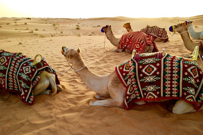 Dubai Red dune Desert Safari With Dune Bashing, Camel Ride & BBQ - Lahbab’s red dunes set the tone