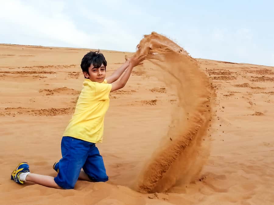 Dubai: Red Dune Safari, Quad Bike, Camel Ride, BBQ Dinner - Pickup, timing, and cancellation details