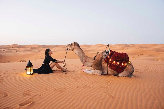 Dubai: Red Dunes Desert Safari, Camel ride, Sandboard, Quad Bike - Key points to know before booking