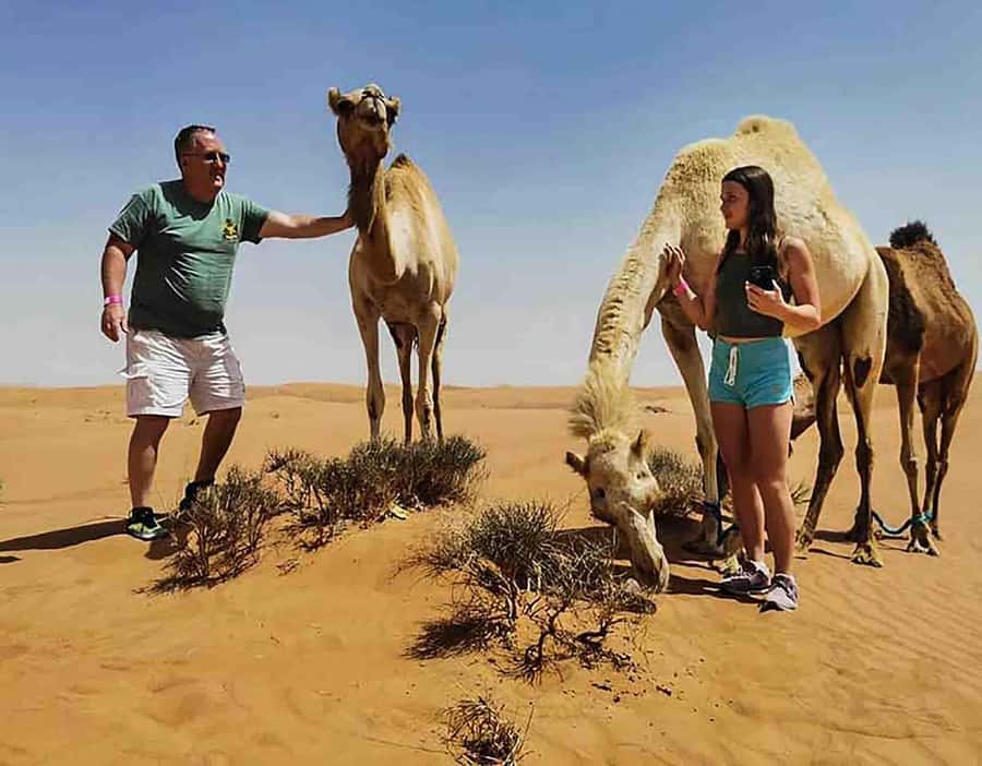 Dubai: Red Dunes Desert Safari with Premium Camp BBQ & Shows - Five shows after sunset