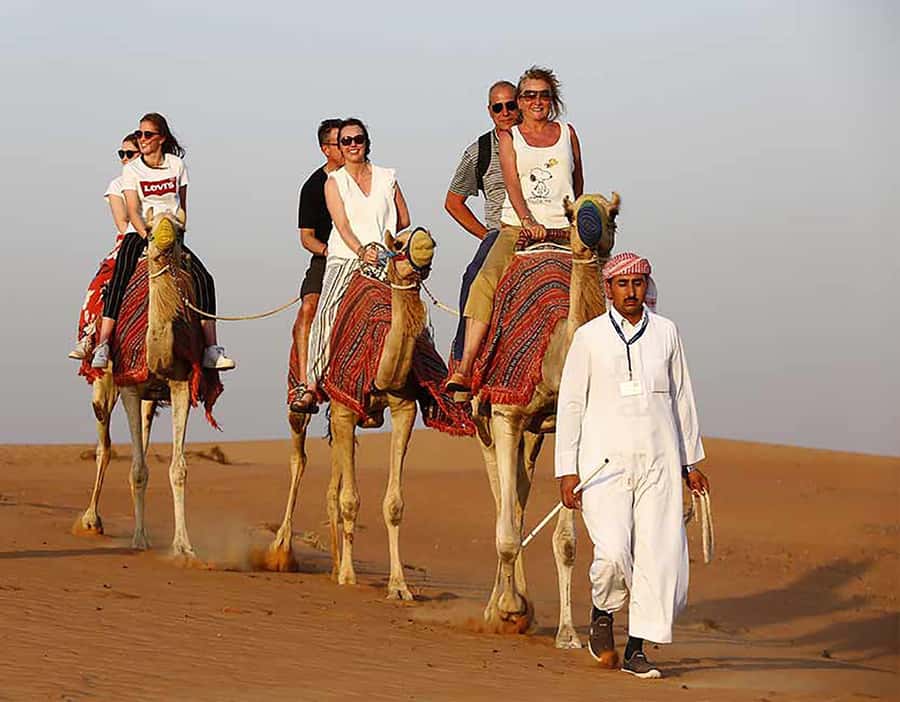 Dubai: Red Dunes Desert Safari with Premium Camp BBQ & Shows - Is $49 a good value?
