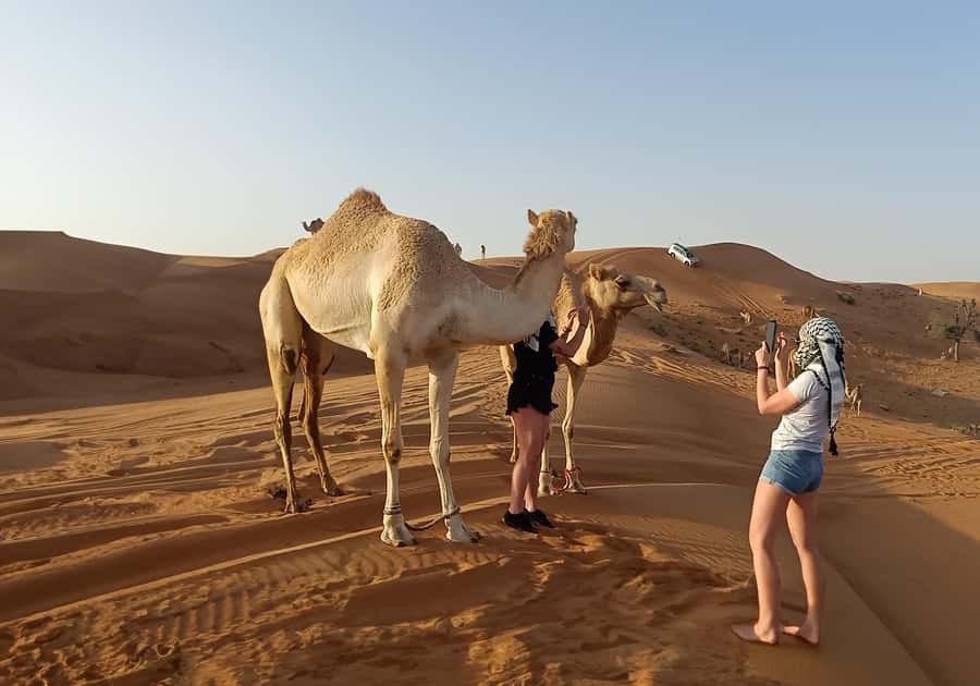 Dubai: Red Dunes Desert Safari with Premium Camp BBQ & Shows - The 30 to 35 minute dune-bashing ride
