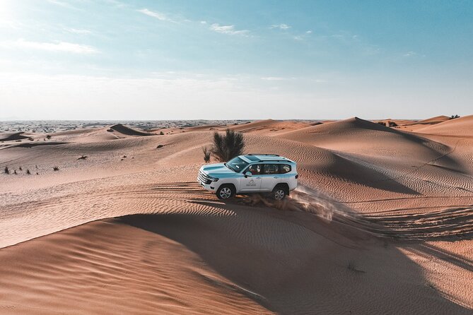 Dubai Red Dunes Safari: Dune Bashing, Camel Ride & Breakfast - Red dunes and reserve country before noon