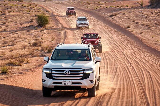 Dubai Red Dunes Safari: Dune Bashing, Camel Ride & Breakfast - Looking for oryx and gazelles