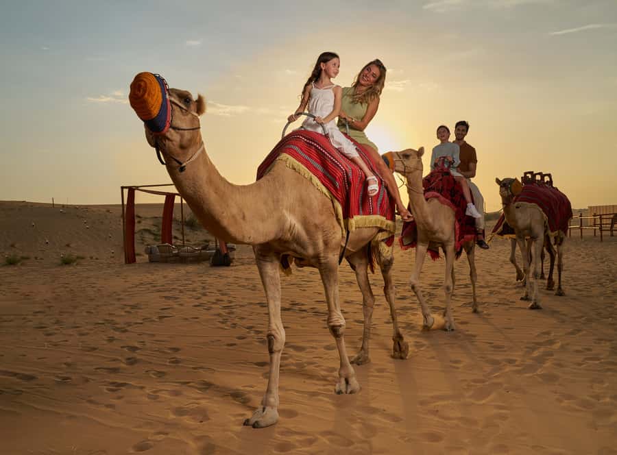 Dubai’s Best Desert Safari: Live Show & Gourmet BBQ Dinner - Why the red dunes are the real star