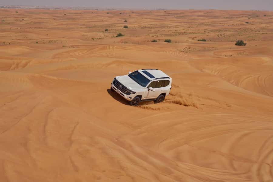 Dubai’s Best Desert Safari: Live Show & Gourmet BBQ Dinner - What dinner is really like