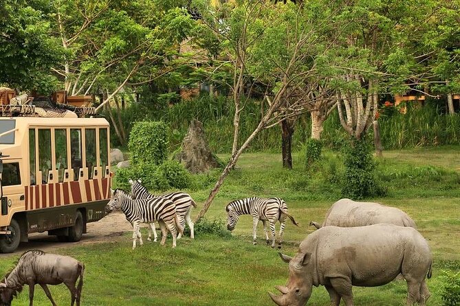 Dubai Safari Park - Arabian Desert Safari Uses an Electric Vehicle