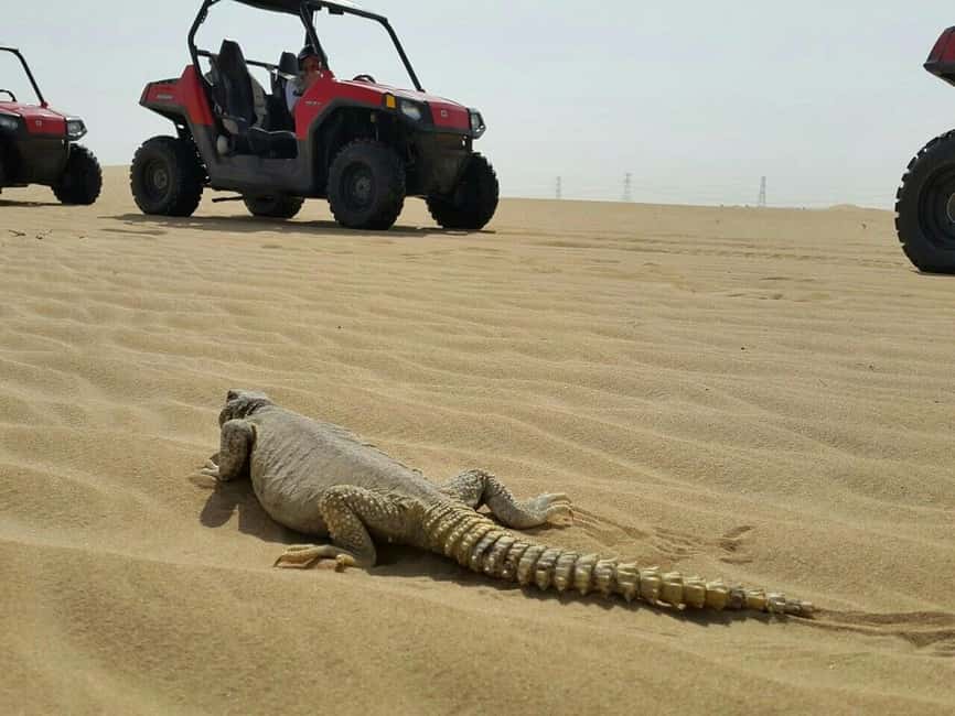 Dubai: Self-Drive Dune Buggy Safari with Pickup and Drop-Off - One hour among Dubai’s dunes