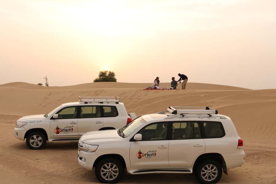 Dubai: Sunrise Desert Jeep Safari with Wildlife Experience - Ten minutes of dune driving