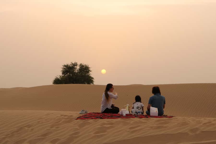 Dubai: Sunrise Desert Jeep Safari with Wildlife Experience - The best season and the summer warning