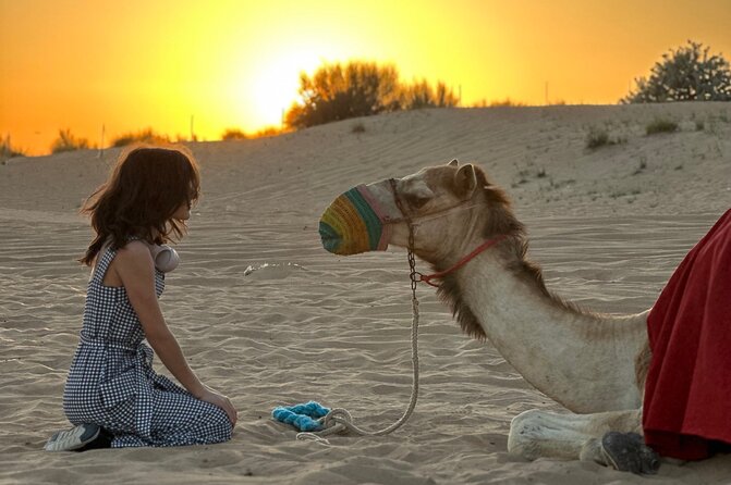 Dubai Sunset Red Dune Desert Safari, Sandboarding and Camel Ride - BBQ dinner, camp shows, and quad biking