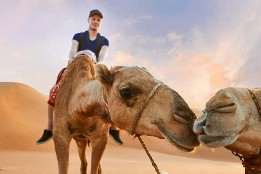 Dubai Waves & Dunes: Luxury Yacht Cruise w/ Red Dunes Safari - The Two-Hour Cruise and Meal Choices