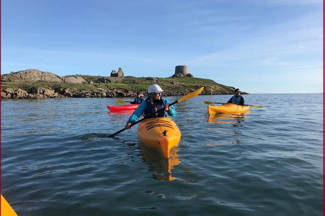 Dublin Bay Seal Kayaking Safari at Dalkey - What makes this Dalkey kayak trip special