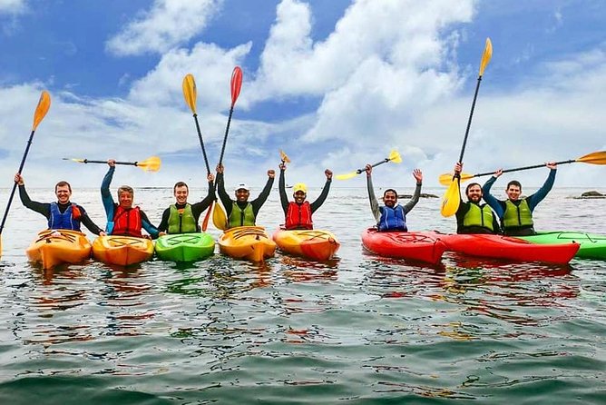 Dublin Bay Seal Kayaking Safari at Dalkey - Dalkey Island when conditions allow