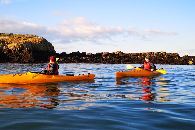 Dublin Bay Seal Kayaking Safari at Dalkey - Weather changes the experience