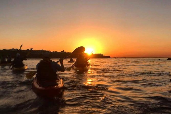 Dublin Bay Seal Kayaking Safari at Dalkey - Meeting Dalkey’s seals