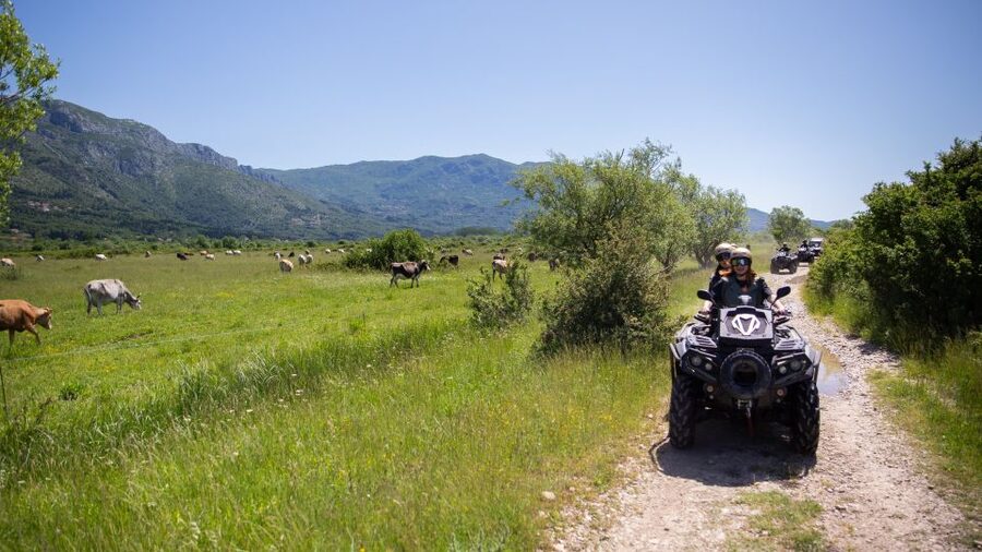 Dubrovnik: Kojan Koral ATV Quad Safari with transport - Wine, fruit and the return to Dubrovnik