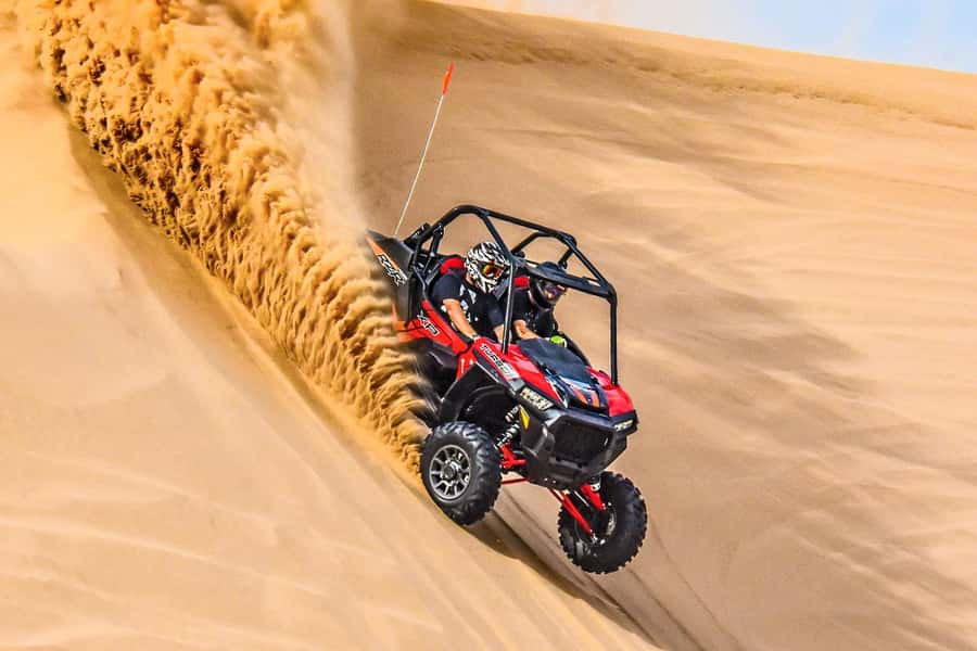 Dune Bashing &Beyond The Ultimate Desert Safari From Doha - Who will enjoy this safari most