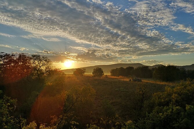 Early Morning Balloon Safari with Breakfast from Magaliesburg - Landing, the toast, and the breakfast that follows