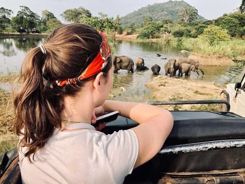Elephant Kingdom Safari – Minneriya National Park - How the guide affects the day