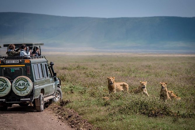 Elephant Special Serengeti & Ngorongoro Crater 5 Days / 4 Nights - Day 3: A full Serengeti game-viewing day