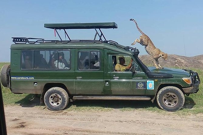 Elephant Special Serengeti & Ngorongoro Crater 5 Days / 4 Nights - Day 5: Lake Manyara’s forest and Rift Valley views