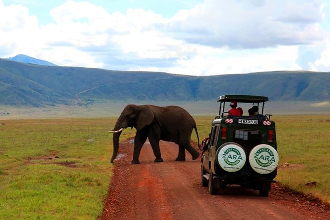 Elephant Special Serengeti & Ngorongoro Crater 5 Days / 4 Nights - What the $2,418.47 price actually covers