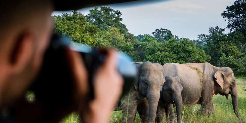 Ella: Shuttle to Mirissa/Galle/Hikkaduwa & Udawalawa Safari - Should you book the Ella to Udawalawe transfer?