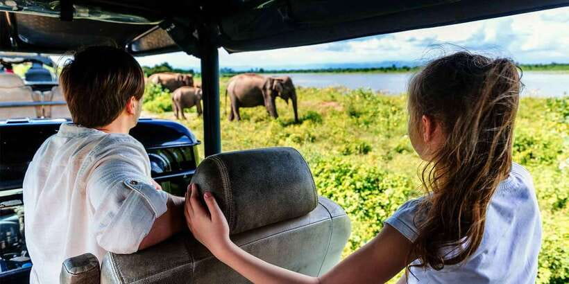 Ella: Shuttle to Tangalle/Mirissa/Galle w Udawalawe Safari - A safari that respects the animals