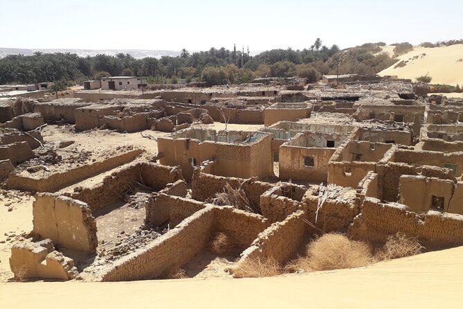 Enjoy safari The black and white desert two night 3 days - Day two: dunes, sandboarding, and springs
