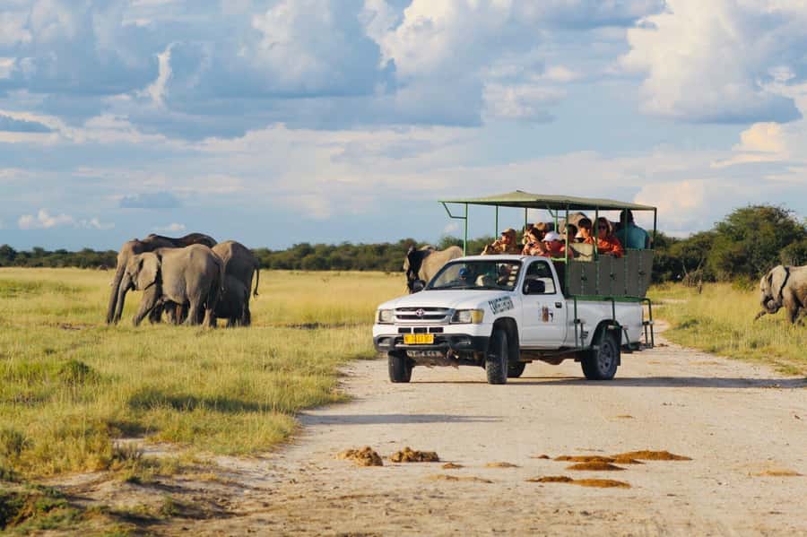 Etosha National Park: Full or Half-Day Game Drive - Key points to know before booking