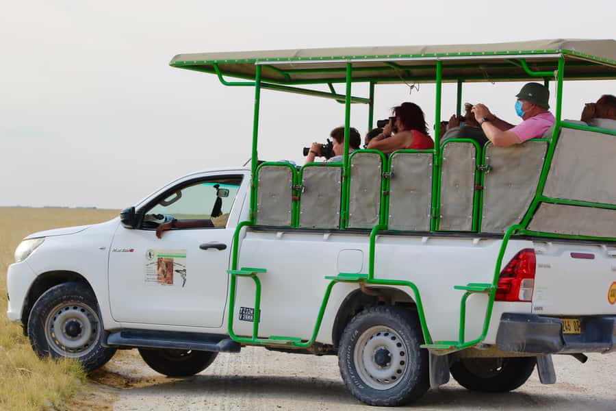 Etosha National Park: Full or Half-Day Game Drive - Starting at Anderson Gate before the park gets busy