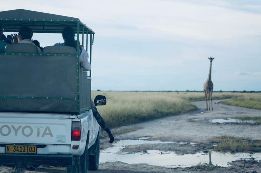 Etosha National Park: Full or Half-Day Game Drive - What to bring for a comfortable day