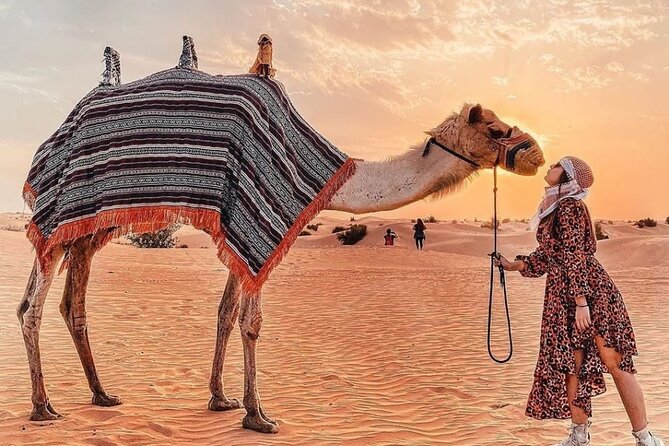 Evening Desert Safari & BBQ With Live Shows,Camel Ride,Falcon pic - Arabic coffee, dates, henna, and camp traditions