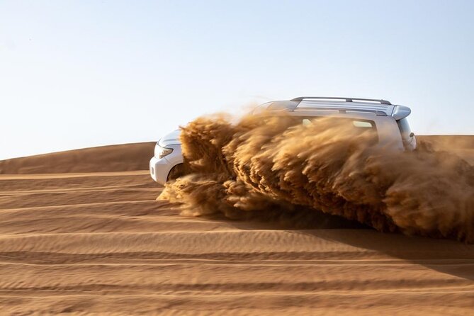 Evening Desert Safari & BBQ With Live Shows,Camel Ride,Falcon pic - Three shows, three different moods