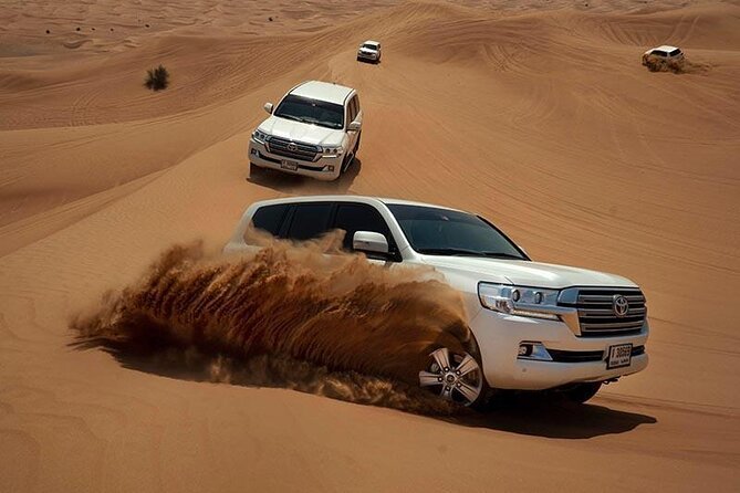 Evening Desert Safari & BBQ With Live Shows,Camel Ride,Falcon pic - A short camel ride with a Bedouin connection