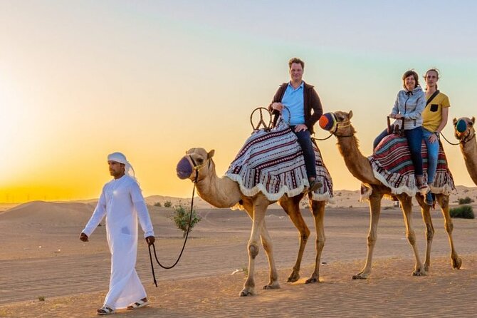 Evening Desert Safari Dubai with Camel Riding & BBQ Buffet Dinner - The camel ride: pleasant but brief
