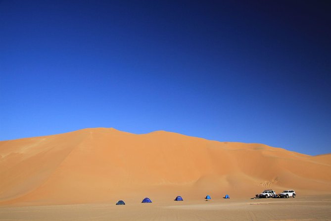 Evening Desert Safari with Belly Dance and BBQ Dinner and Camel Ride - From Dubai pickup to the open desert